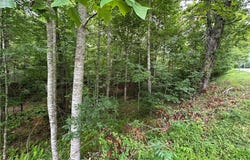 Fries Rd/Foxfire, Galax, VA 24333