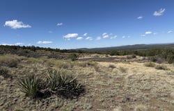 Palomino Dr, Williams, AZ 86046