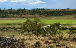 2647 Wrangler Way, Durango, CO 81301