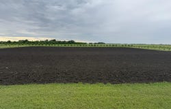County Road 15, Minto, ND 58261