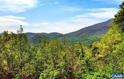 1059 BRYANT MOUNTAIN RD, ROSELAND, VA 22967