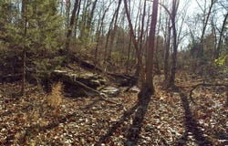 Pleasant Run Rd, Mammoth Spring, AR 72554