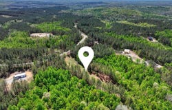 372 Stonecipher Court, Sunbright, TN 37872