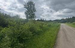 Quaal Road, Forbes, MN 55738