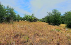 1080 Gonzollas Road, Springtown, TX 76082