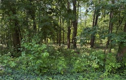 Fisher Ridge Rd, Tract 6, Fleming, OH 45729
