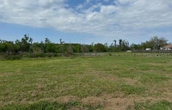 14182 HAYNES Road, DOVER, FL 33527