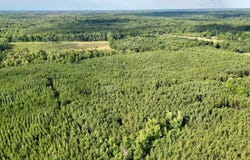Piney Green Road, Blackstone, VA 23930