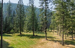 441 Cedars Drive, Troy, MT 59935