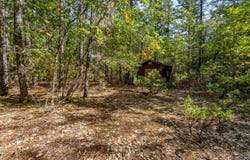 305 Floyd Lane, Cave Junction, OR 97523