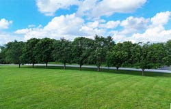 710 Hackberry Road lot: 710 A&B, Cecilia, KY 42724