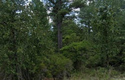 Addie Trail, Dublin, GA 31021