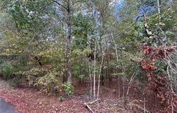 Cuenca Cir lot: 62, Hot Springs Village, AR 71909