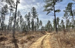 6145 Dry Grove Road, Terry, MS 39170