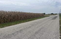 1293 County Road 2400 E, St. Joseph, IL 61873