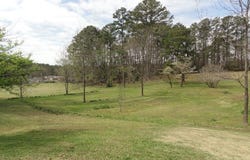 1624 LAKE DRIVE lot: 1, CENTER POINT, AL 35215