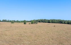 tbd 80 acres State 210, Pillager, MN 56473