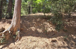 Edelweiss Drive, Crestline, CA 92325