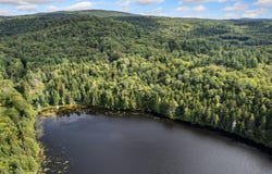 Lake Hill Road, Whitingham, VT 05361