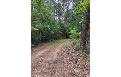 County Road 272, Vanzant, MO 65768