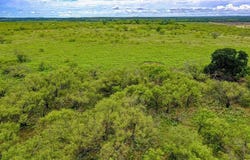 FM 175, Jacksboro, TX 76365