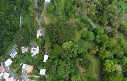 Mamey, Guaynabo, PR 00971