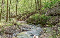 160 Old Horseshoe, Lampe, MO 65681