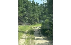 Nevada 46 Roads, Rosston, AR 71858