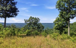 622 Coyote Trail, Spencer, TN 38585