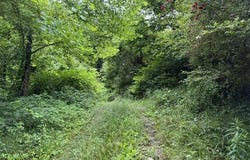 3238 Big Willard Rd, Busy, KY 41723