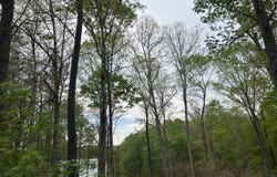 920 Strike King Dr (Lot 164), Cedar Grove, TN 38321