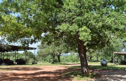 11897 N US 377, London, TX 76854