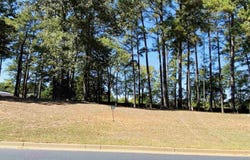 Easy St lot: 2, Frankston, TX 75763