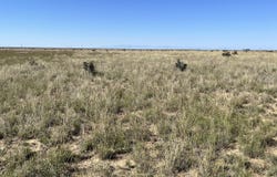 County 1 Lane, Boone, CO 81025