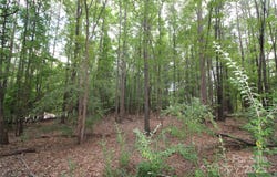Lake Wylie Drive lot: 4, Rock Hill, SC 29732