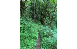 Green Mountain Rd, Kalama, WA 98625