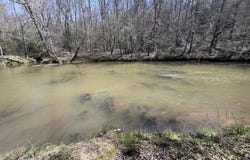 River Ridge, Carnesville, GA 30521