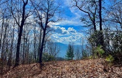 Longview Ridge lot: 73, Sylva, NC 28779