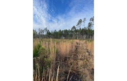 Bergman Road, Naylor, GA 31641