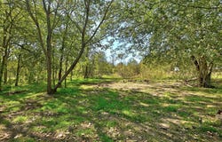 2100 Whirlaway Dr, Del Valle, TX 78617