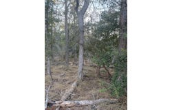 159 Helemano Dr, Bastrop, TX 78602