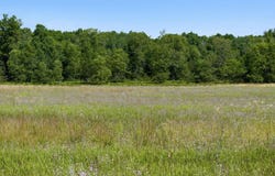 331/311 Kleehammer Club Drive, Kalkaska, MI 49646
