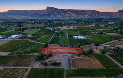 482 35 Road, Palisade, CO 81526
