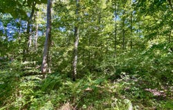 Seagraves Road, Coventry, CT 06238