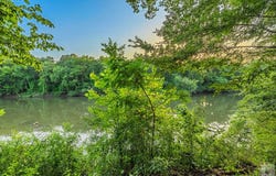 192 RIVERVIEW DR, Horatio, AR 71842