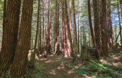 200 Joseph Lane, Crescent City, CA 95531