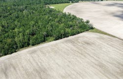 Vacant SE Camelot Way, Lee, FL 32059