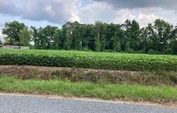 Waycross Road, Turkey, NC 28393