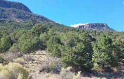 1709 Valley View Rd, South Fork, CO 81154