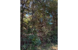 FM 319, ELKHART, TX 75839